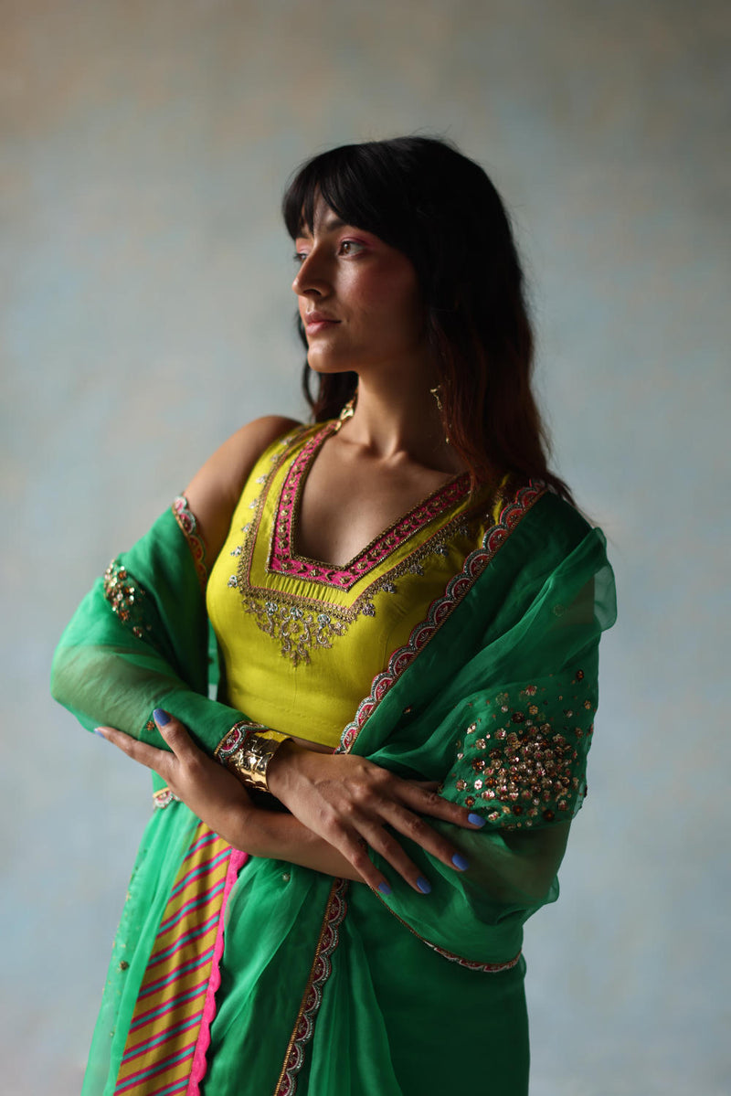 GUL GREEN SEQUIN FLOWER SARI organza by Rajiramniq for women in Singapore