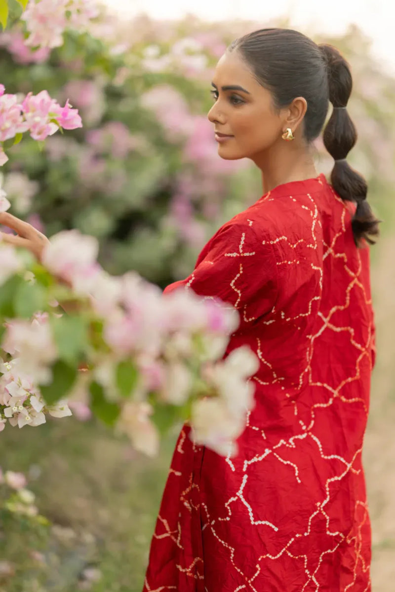 JAALI WRAP SET-RED silk by Dyelogue in red color for women in Singapore