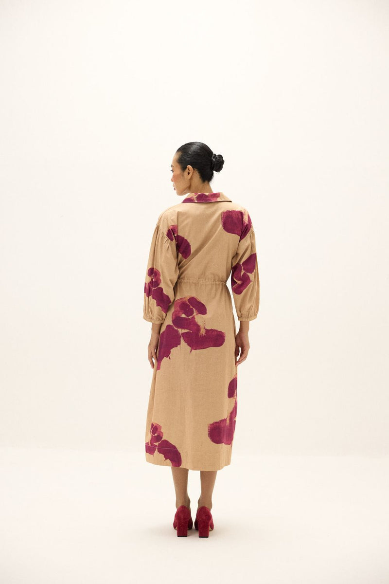 Amber Haze Dress poplin by Khara Kapas in beige for women in Singapore