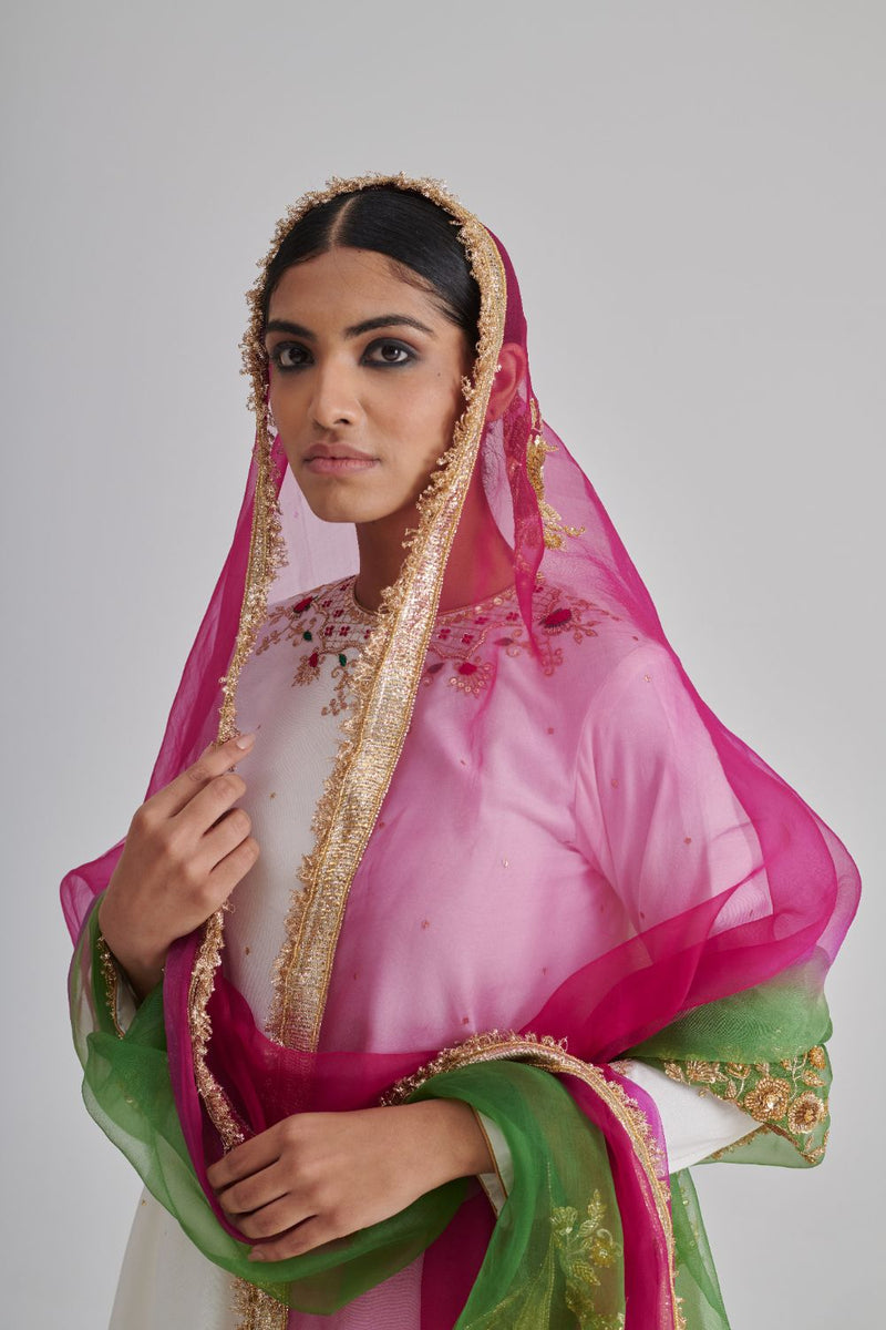 LILA DUPATTA