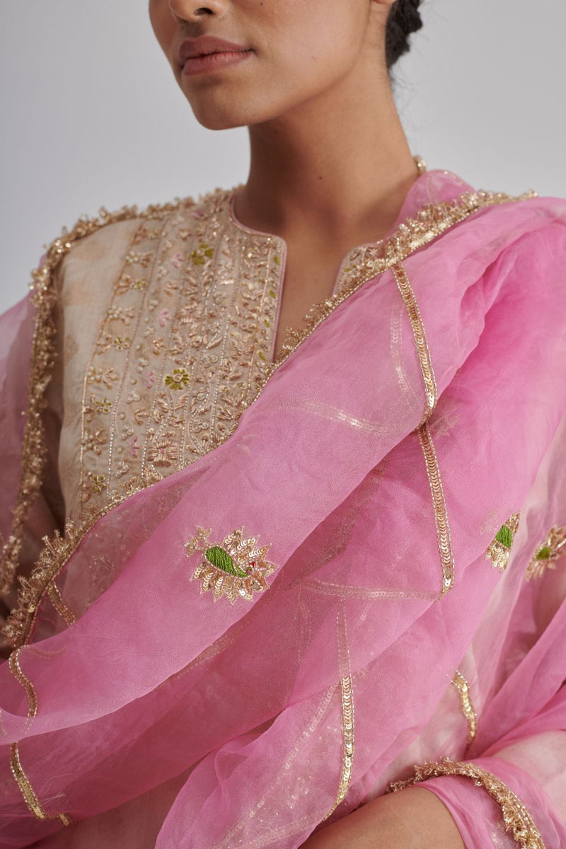 MORNII DUPATTA