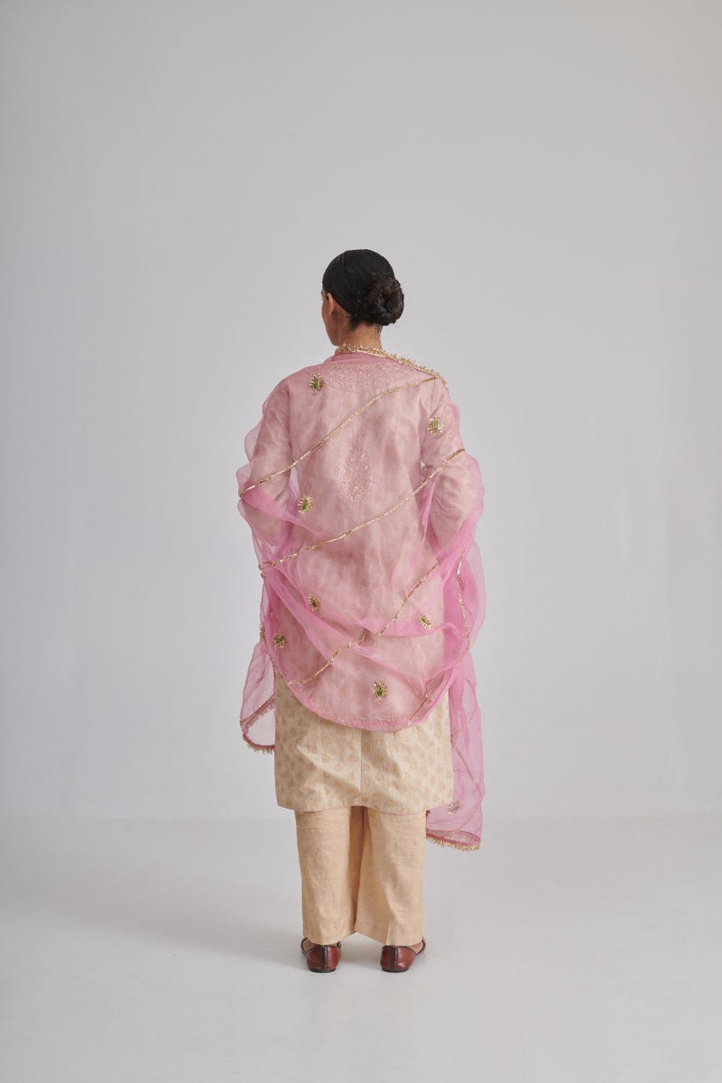 MORNII DUPATTA