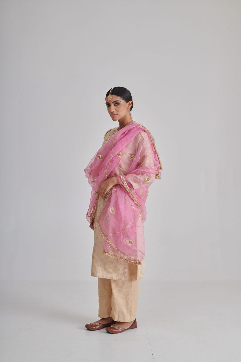 MORNII DUPATTA