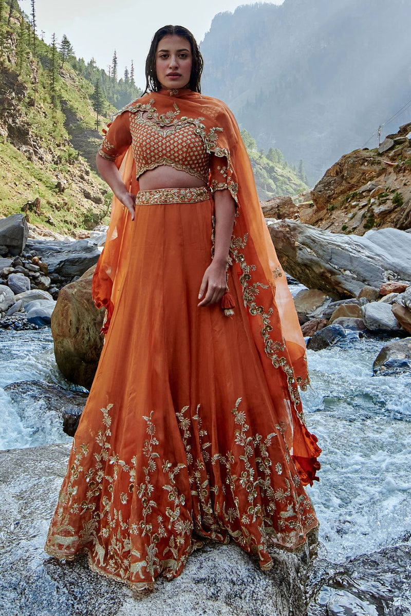 Nigella Lehenga Set tissue by Paulmi & Harsh-kahan Sep'26 in orange for women in Singapore