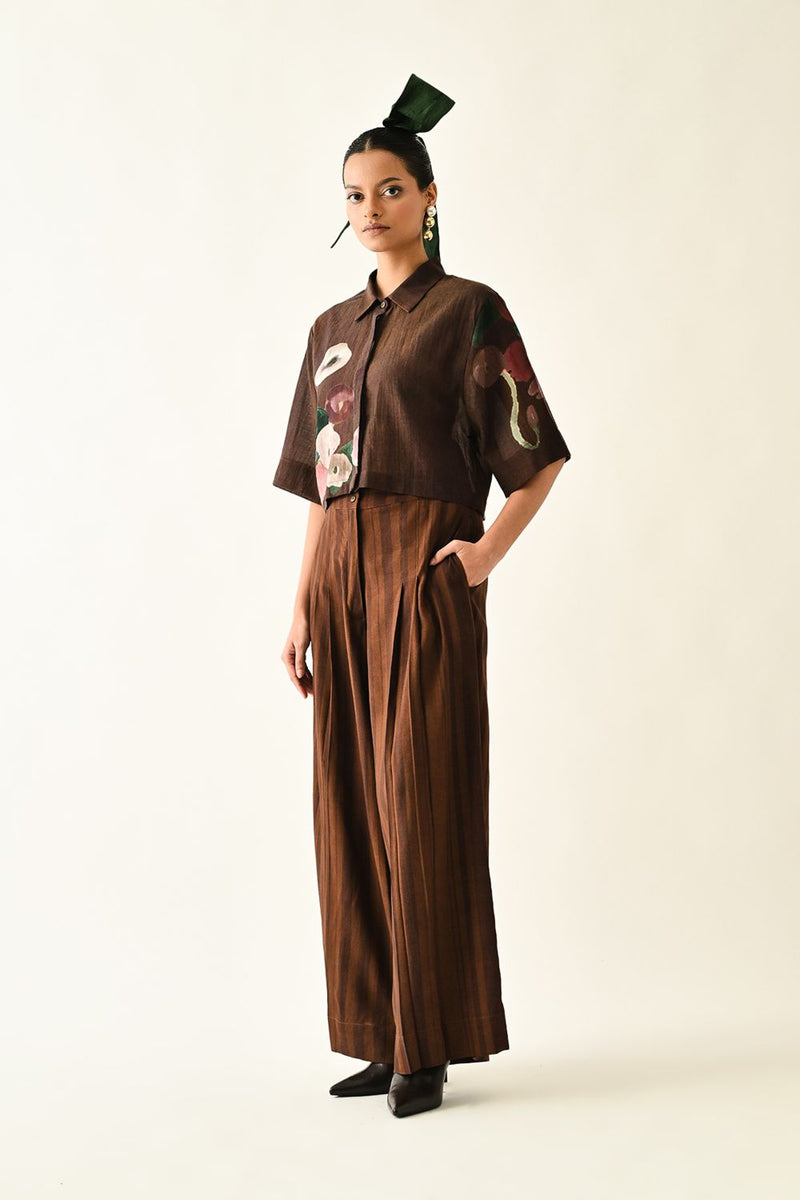 Brown Stripes PP Pant