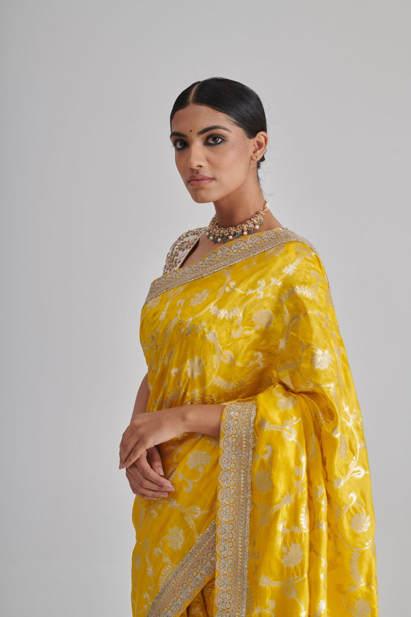 PHALGUN & MYRA SAREE & BLOUSE