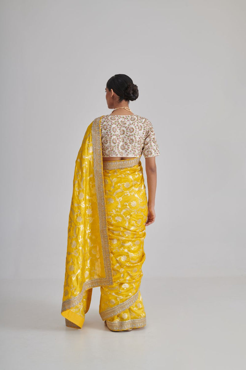 PHALGUN & MYRA SAREE & BLOUSE