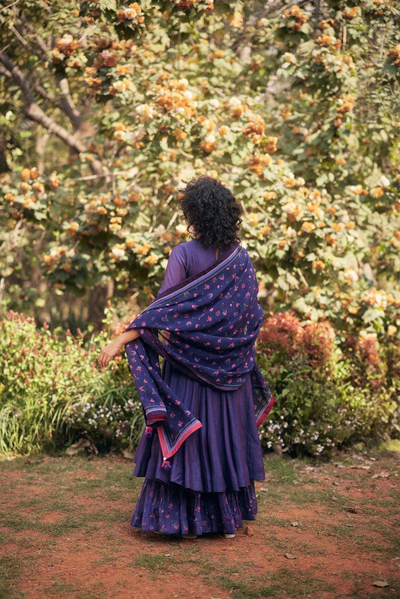 Laurel Anarkali Set-Grape chanderi by Paulmi & Harsh in green for women in Singapore