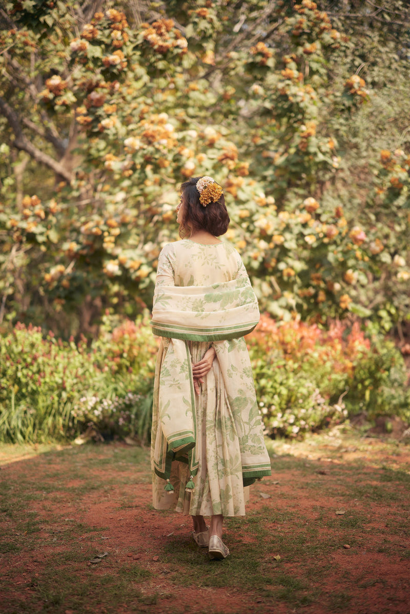 Fern Anarkali Set chanderi by Paulmi & Harsh in green, ivory for women in Singapore