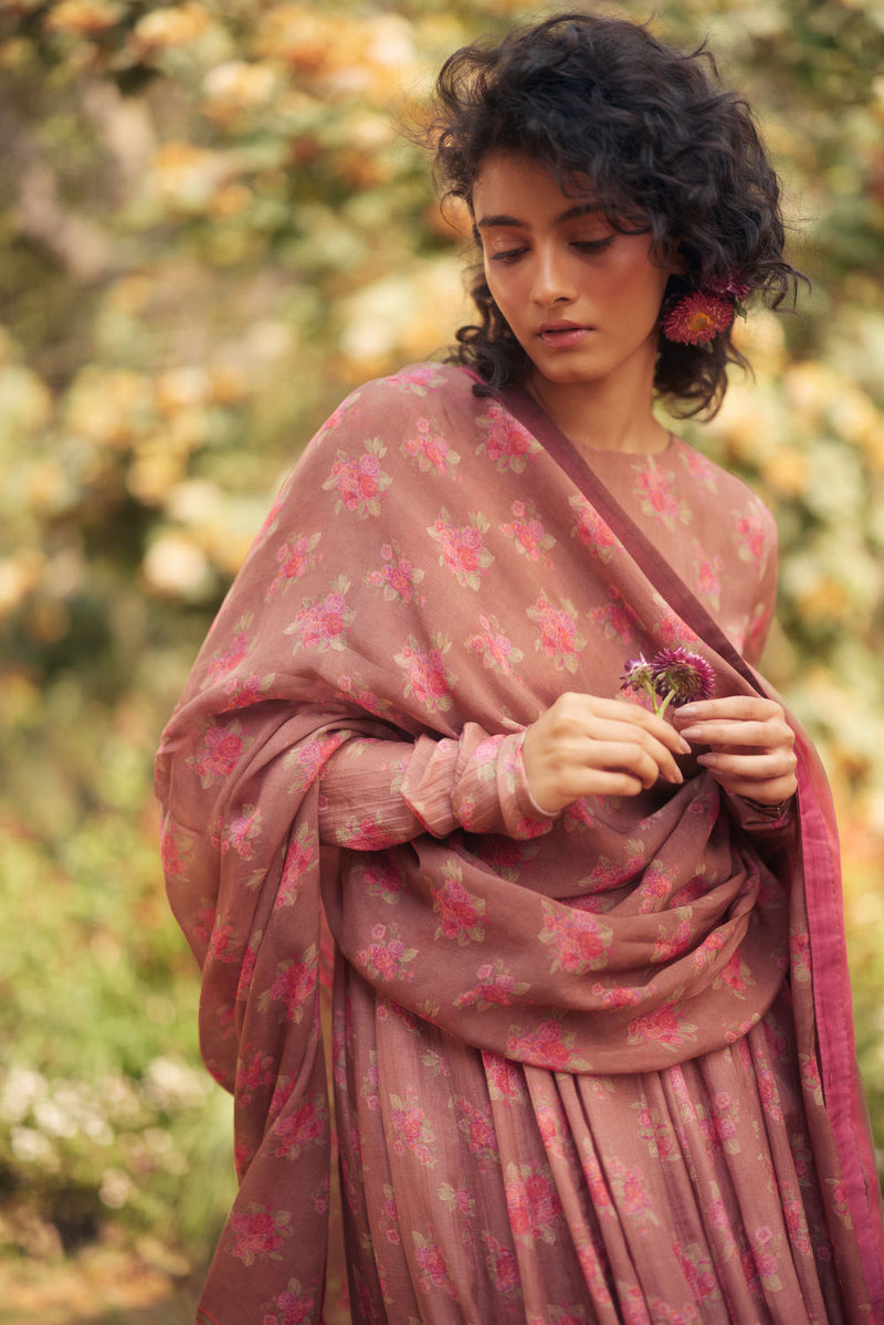 Nerida Anarkali Set chanderi by Paulmi & Harsh in brown for women in Singapore