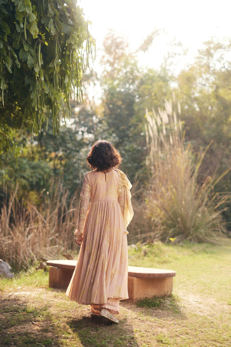 Maxine Anarkali Set chanderi by Paulmi & Harsh in pink for women in Singapore