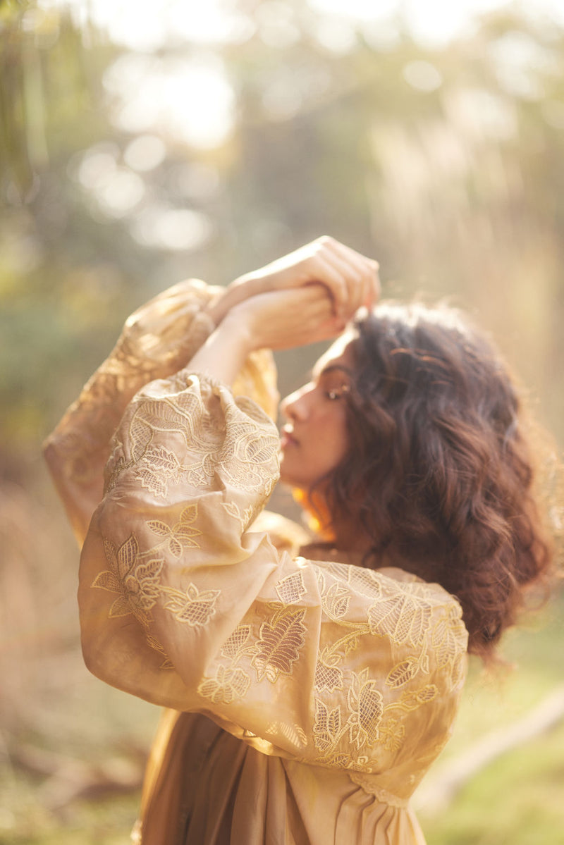 Lana Dress-Beige chanderi by Paulmi & Harsh in beige for women in Singapore