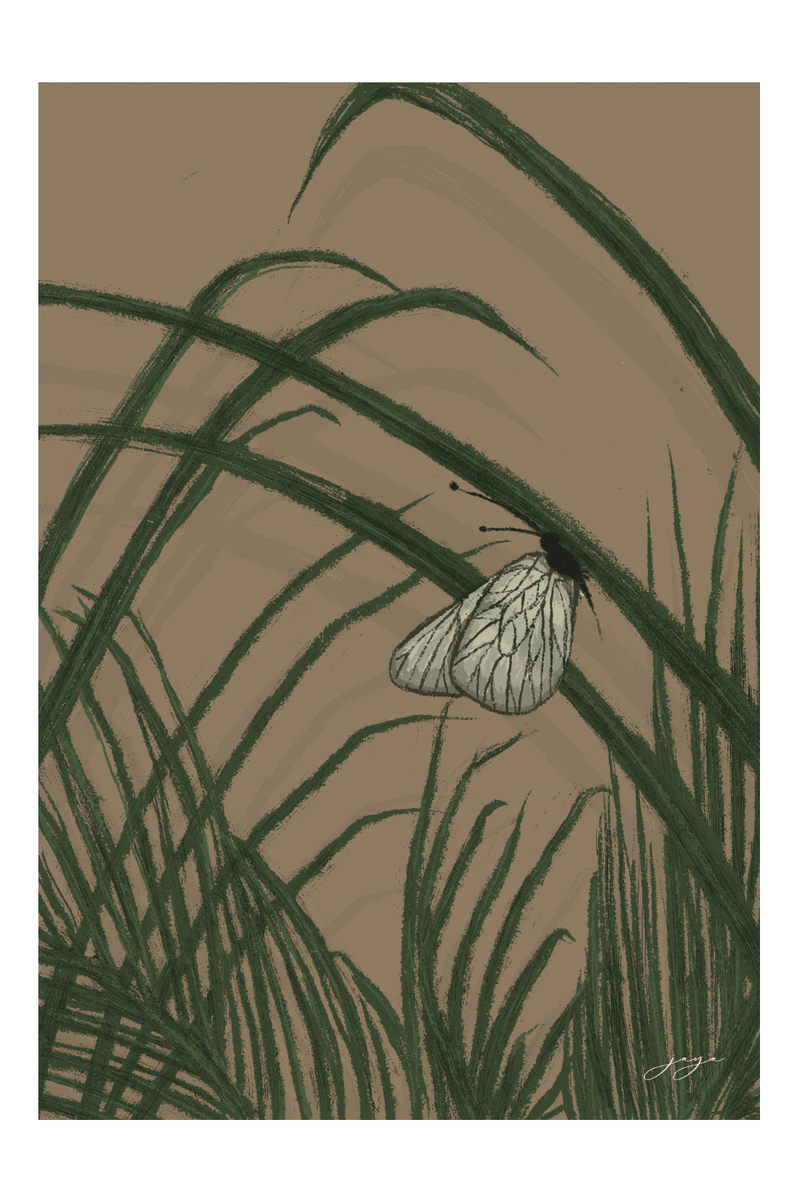 Palm Leaves and the Butterfly