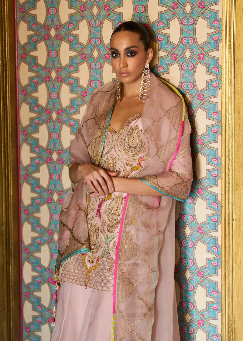 Retro Raani Champagne Pink Sharara Set silk, silk organza kurta/kurta set by Rajiramniq in pink for women in Singapore