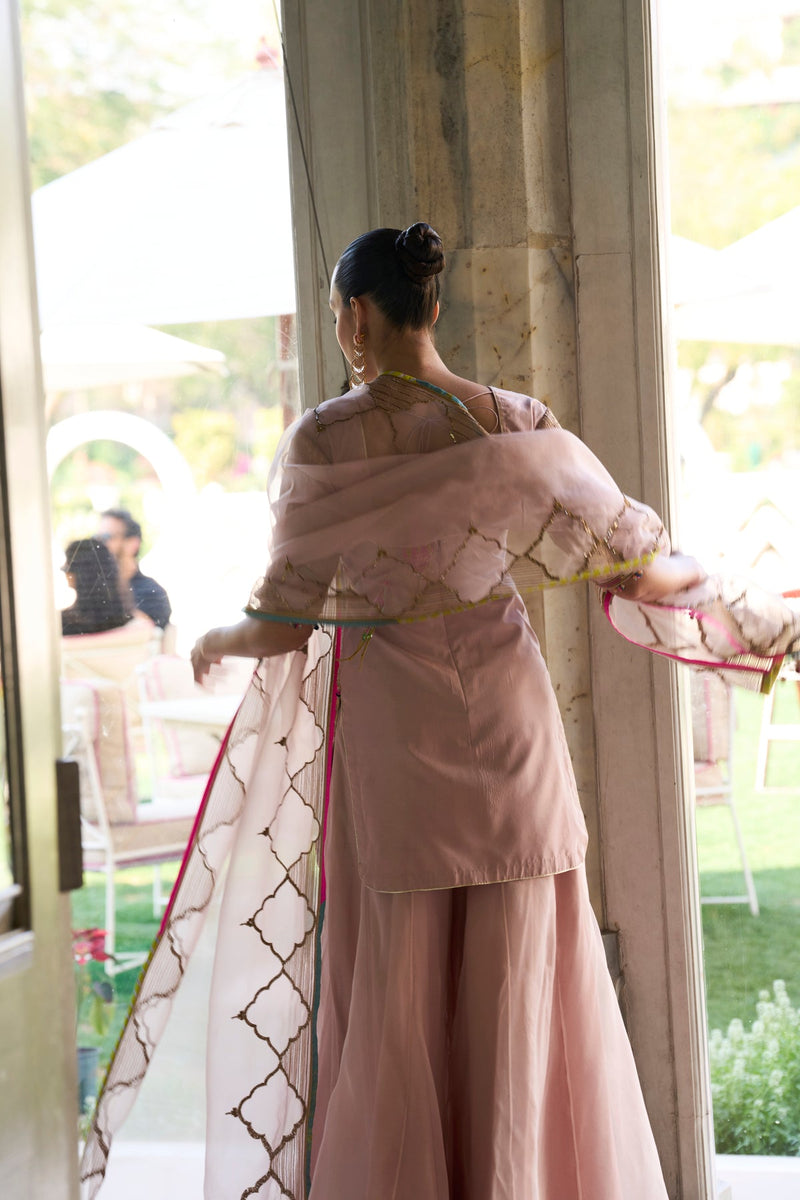 Retro Raani Champagne Pink Sharara Set silk, silk organza kurta/kurta set by Rajiramniq in pink for women in Singapore