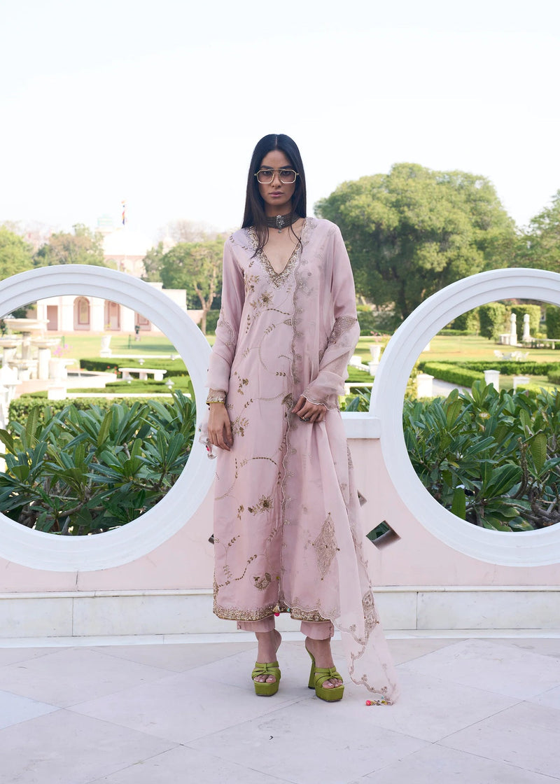 Retro Raani Champagne Pink Jaal Kurta Set silk, silk organza kurta/kurta set by Rajiramniq in pink for women in Singapore