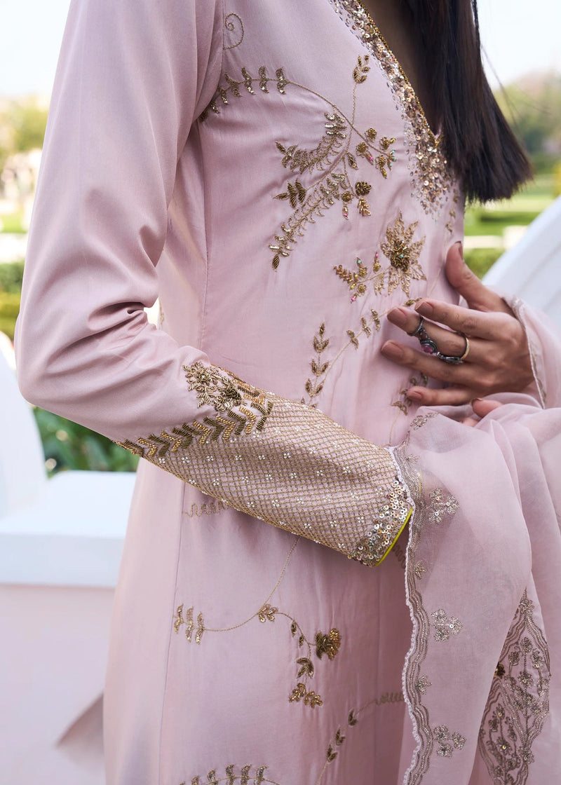 Retro Raani Champagne Pink Jaal Kurta Set silk, silk organza kurta/kurta set by Rajiramniq in pink for women in Singapore