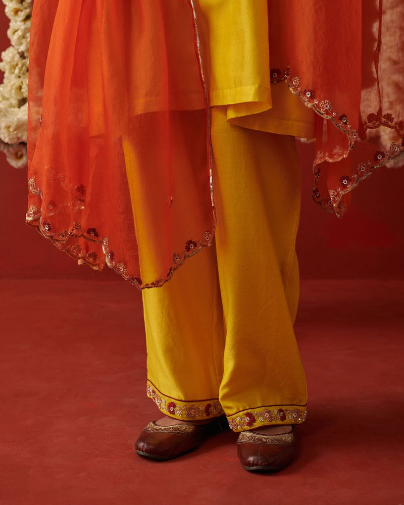 RIMJHIM DUPATTA