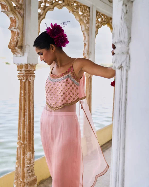 GUL NUDE PINK ORGANZA KURTA SET organza by Rajiramniq for women in Singapore