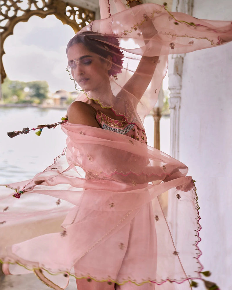 GUL NUDE PINK ORGANZA KURTA SET organza by Rajiramniq for women in Singapore