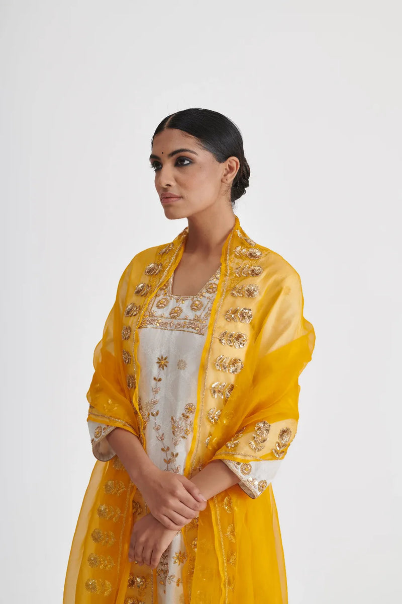 AAVYA DUPATTA