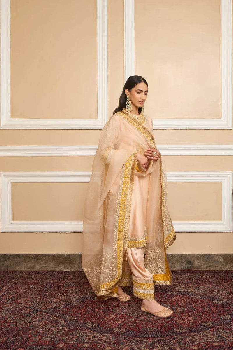 Resham Straight kurta with salwar and dupatta-Rosepink silk by SHEETAL BATRA in pink color for women in Singapore