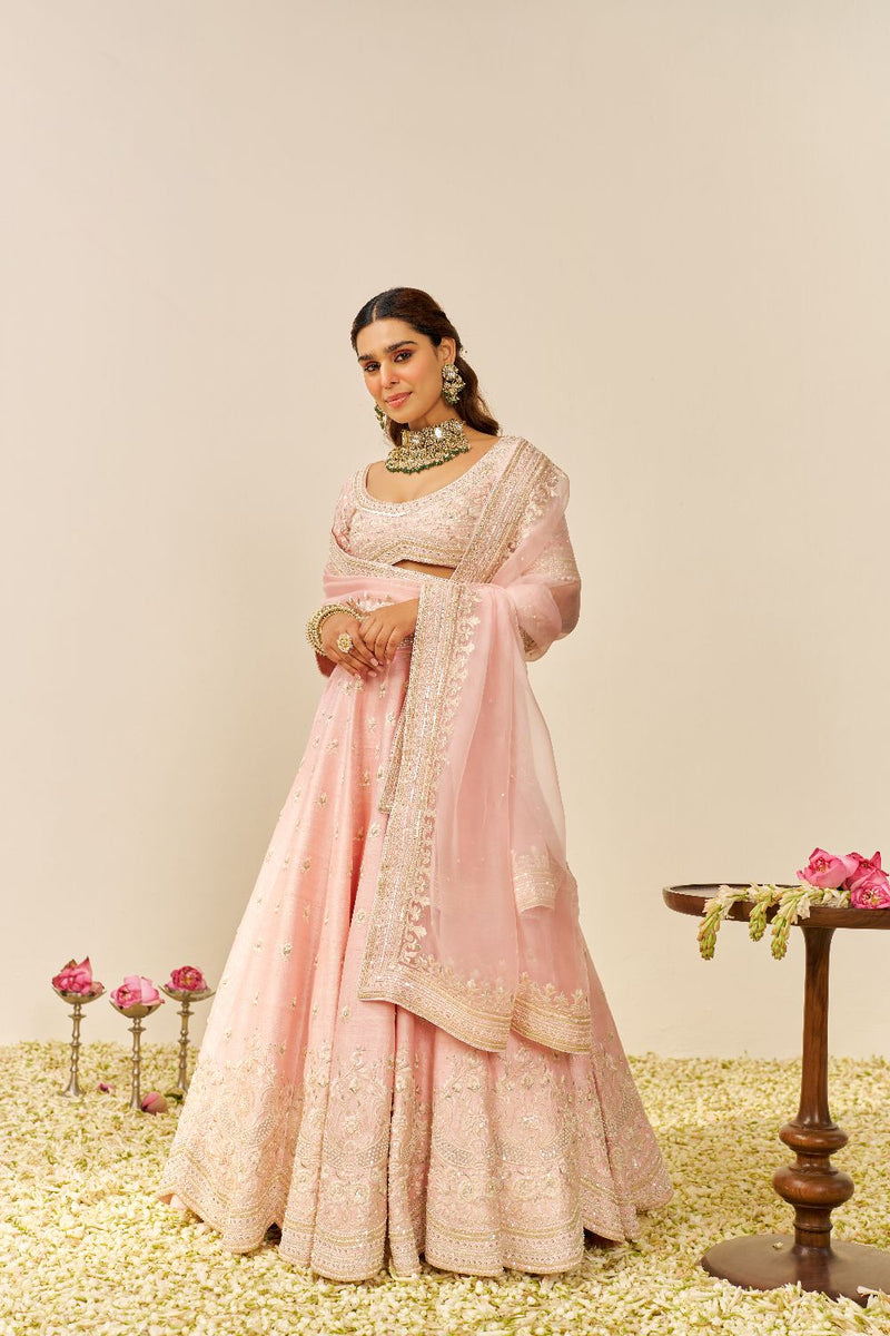 Fida - Lehenga With Blouse And Dupatta-Blush Pink silk by SHEETAL BATRA in blush color for women in Singapore
