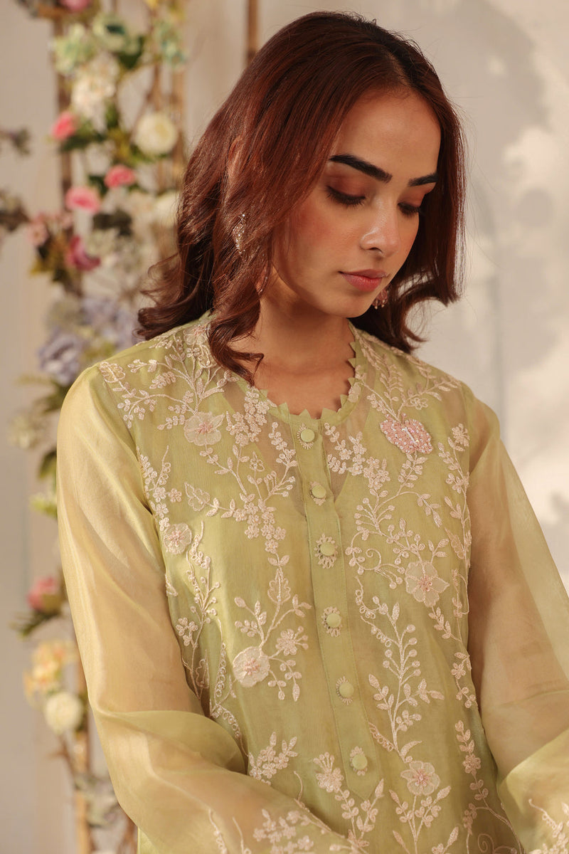 Vaayu Green Heavy Jaal Kurta Set organza , silk tencel kurta/kurta set by Niti Bothra in green for women in Singapore