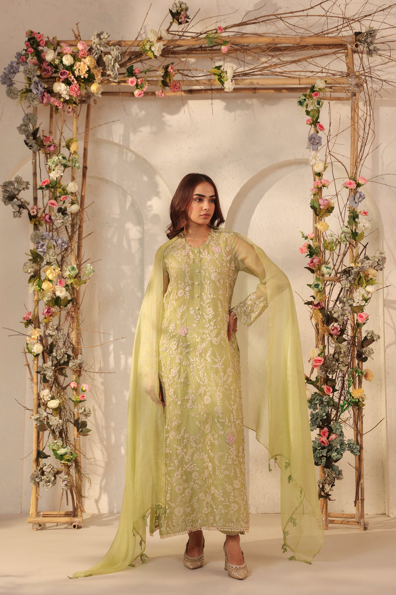 Vaayu Green Heavy Jaal Kurta Set organza , silk tencel kurta/kurta set by Niti Bothra in green for women in Singapore