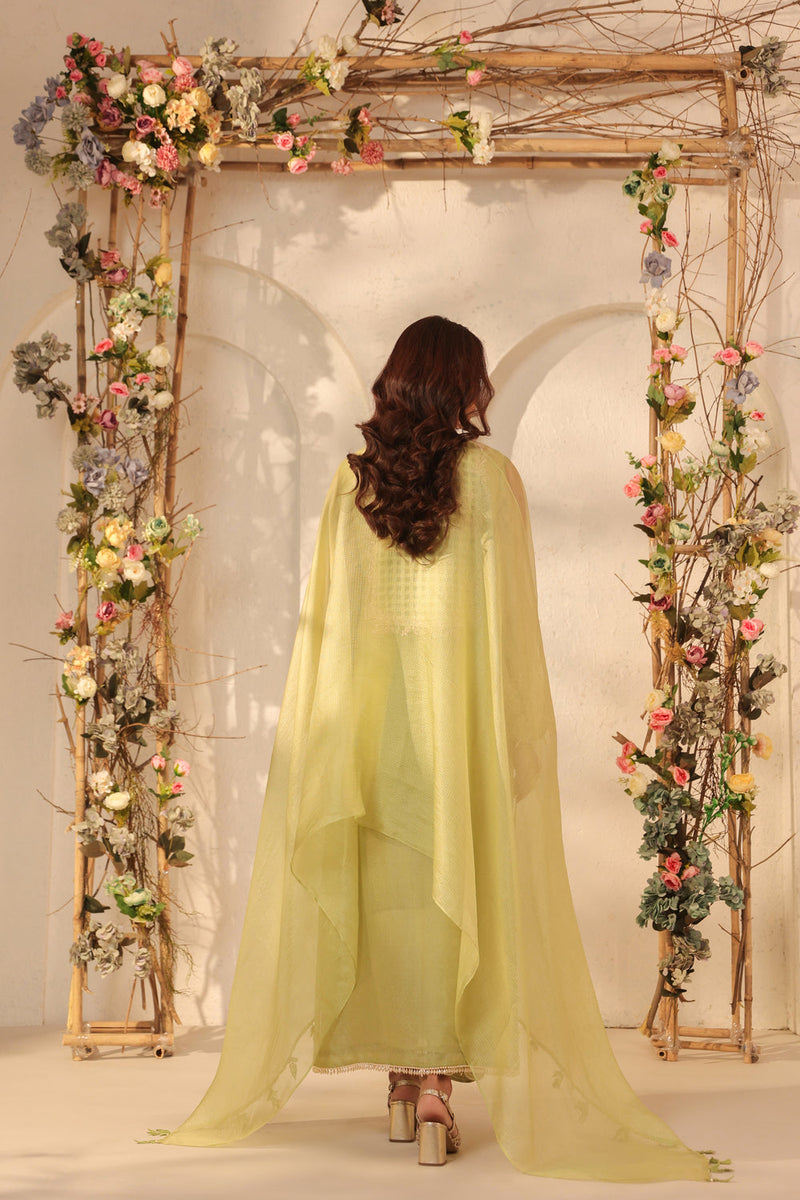 Vaayu Green Heavy Jaal Kurta Set organza , silk tencel kurta/kurta set by Niti Bothra in green for women in Singapore