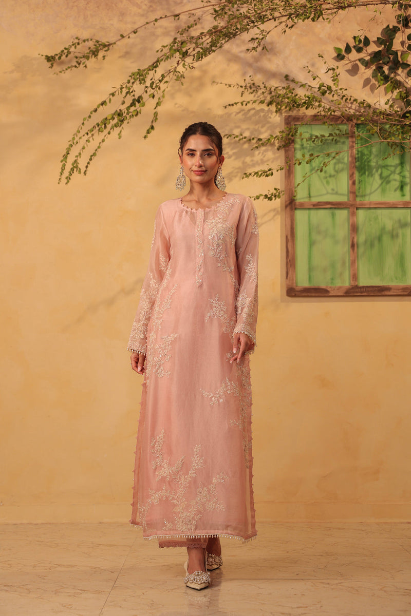 Vaayu Light Pink jaal straight kurta Set organza , silk tencel kurta/kurta set by Niti Bothra in light pink for women in Singapore