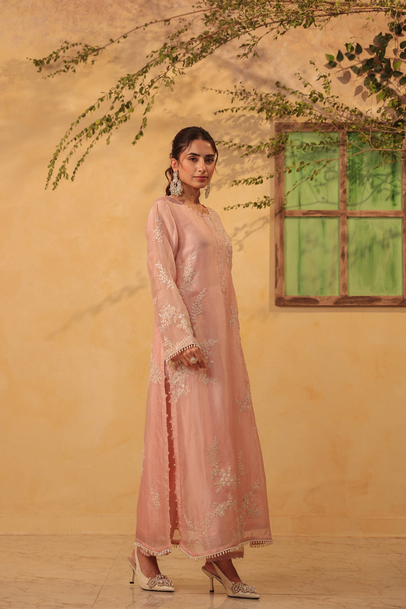 Vaayu Light Pink jaal straight kurta Set organza , silk tencel kurta/kurta set by Niti Bothra in light pink for women in Singapore