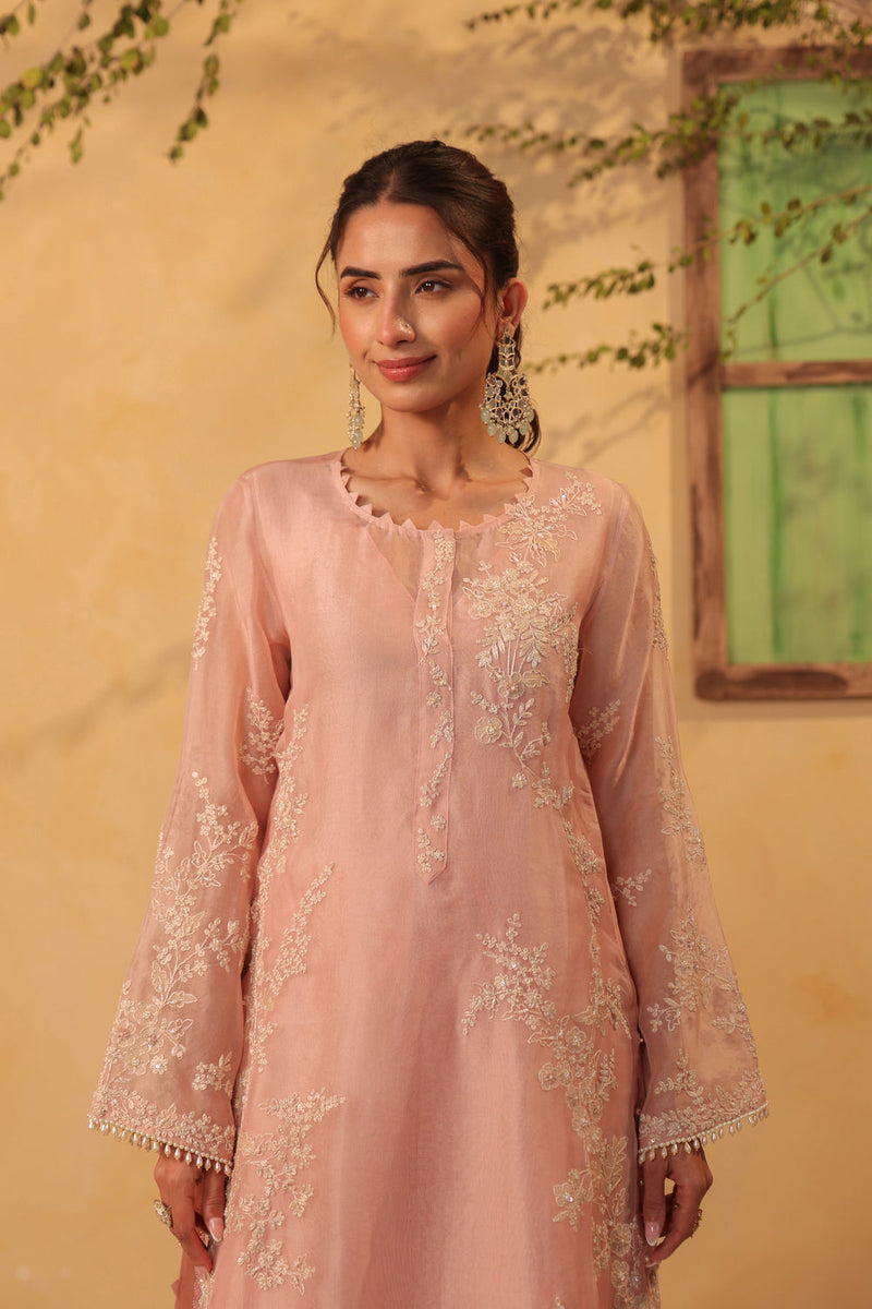 Vaayu Light Pink jaal straight kurta Set organza , silk tencel kurta/kurta set by Niti Bothra in light pink for women in Singapore