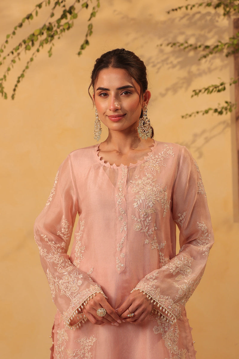 Vaayu Light Pink jaal straight kurta Set organza , silk tencel kurta/kurta set by Niti Bothra in light pink for women in Singapore