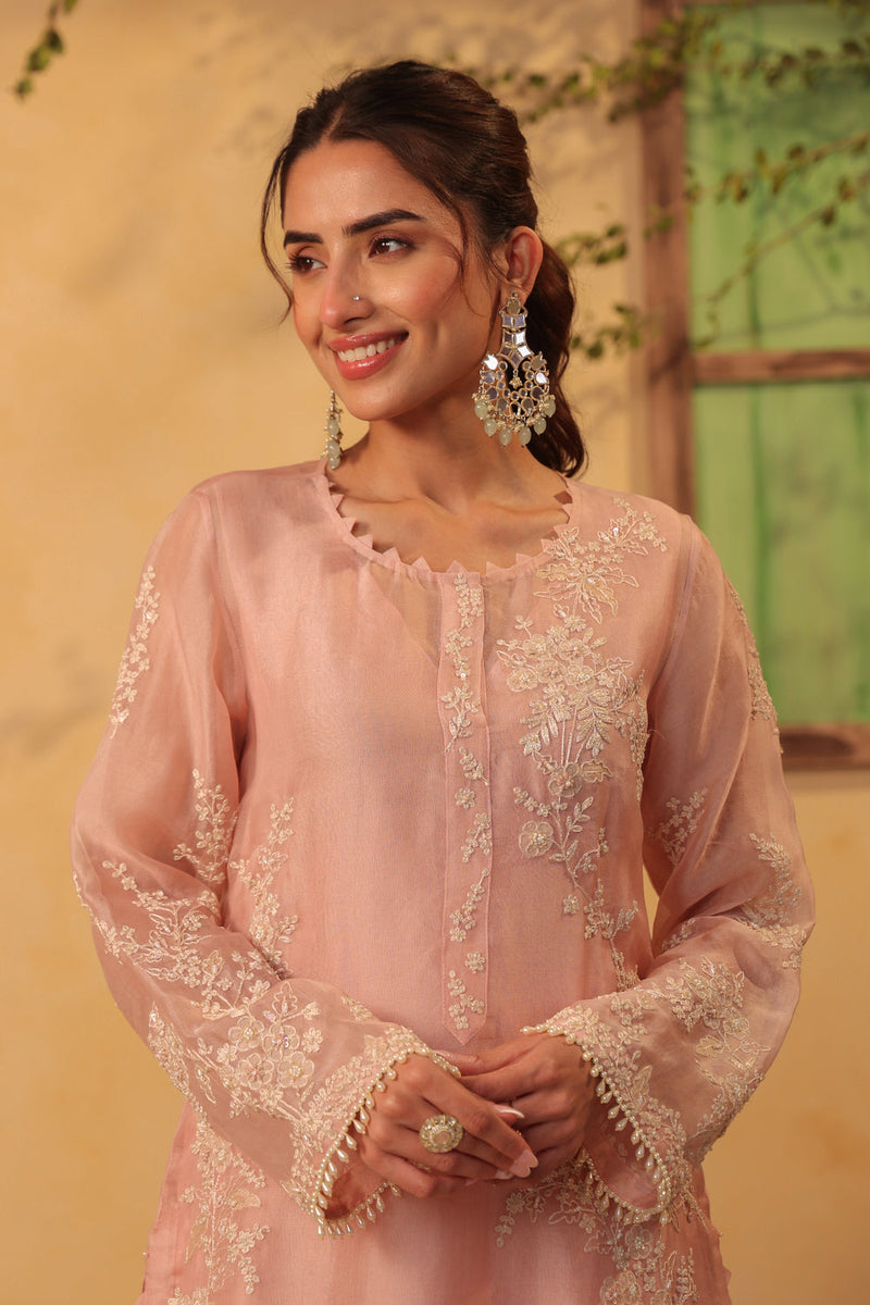 Vaayu Light Pink jaal straight kurta Set organza , silk tencel kurta/kurta set by Niti Bothra in light pink for women in Singapore