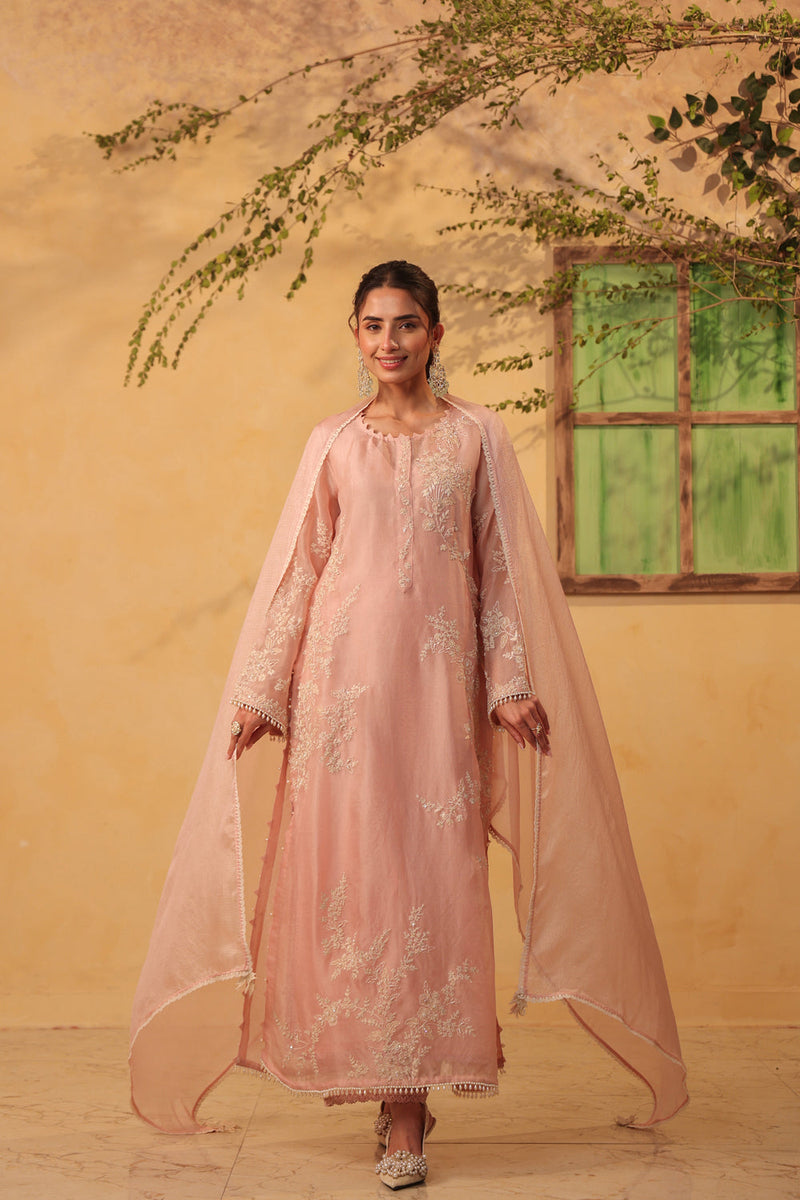 Vaayu Light Pink jaal straight kurta Set organza , silk tencel kurta/kurta set by Niti Bothra in light pink for women in Singapore