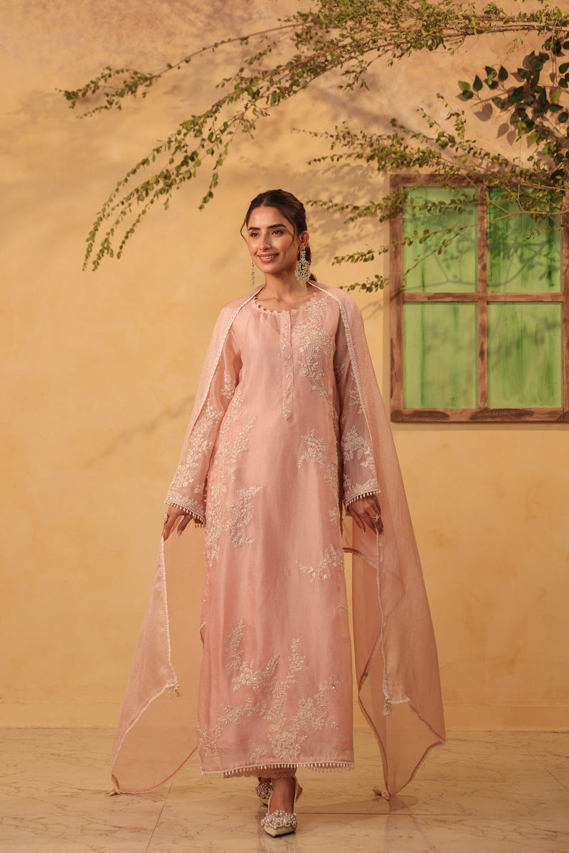 Vaayu Light Pink jaal straight kurta Set organza , silk tencel kurta/kurta set by Niti Bothra in light pink for women in Singapore