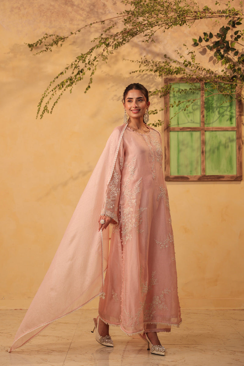 Vaayu Light Pink jaal straight kurta Set organza , silk tencel kurta/kurta set by Niti Bothra in light pink for women in Singapore