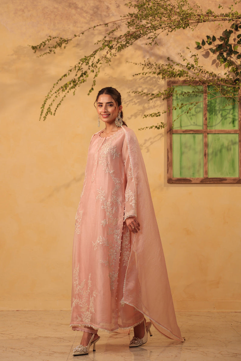 Vaayu Light Pink jaal straight kurta Set organza , silk tencel kurta/kurta set by Niti Bothra in light pink for women in Singapore