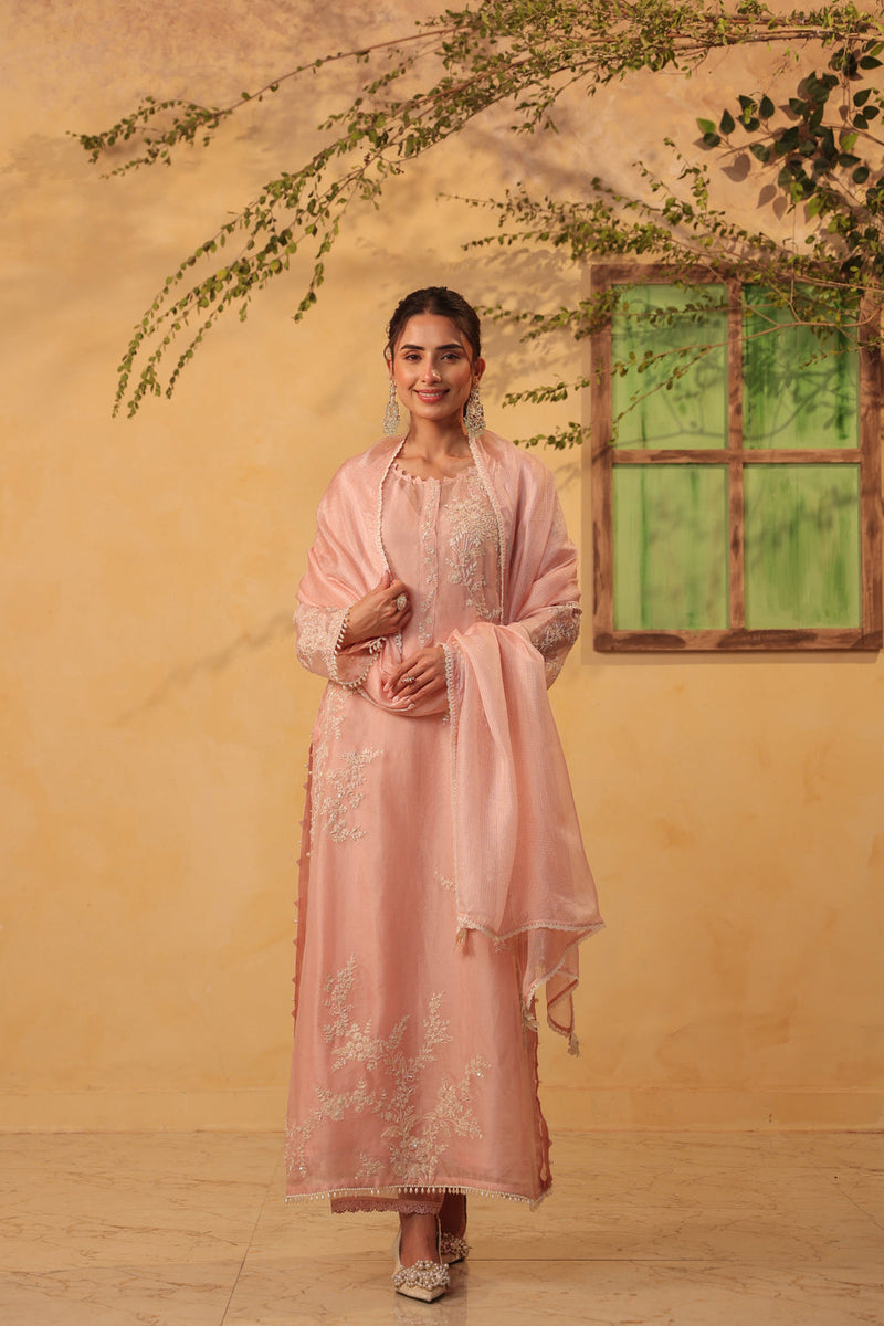 Vaayu Light Pink jaal straight kurta Set organza , silk tencel kurta/kurta set by Niti Bothra in light pink for women in Singapore