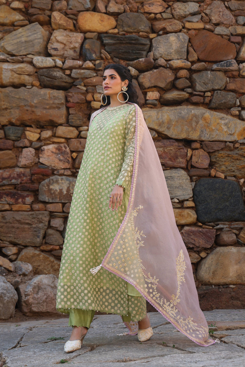 Vaayu Green Close Neck Kurta Set organza , silk tencel kurta/kurta set by Niti Bothra in green for women in Singapore
