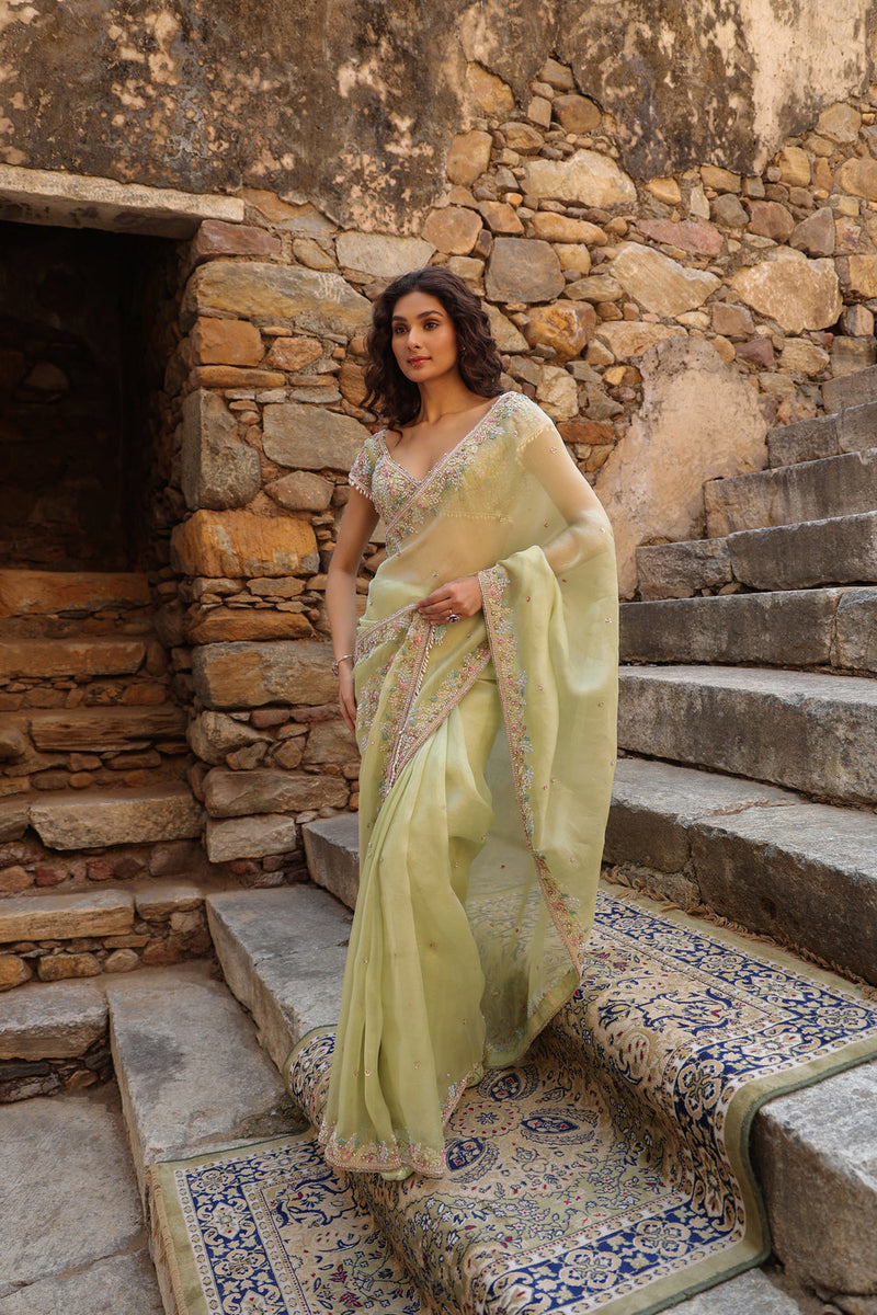 Vaayu Green Multicolor Border Saree Set organza saree by Niti Bothra in green for women in Singapore
