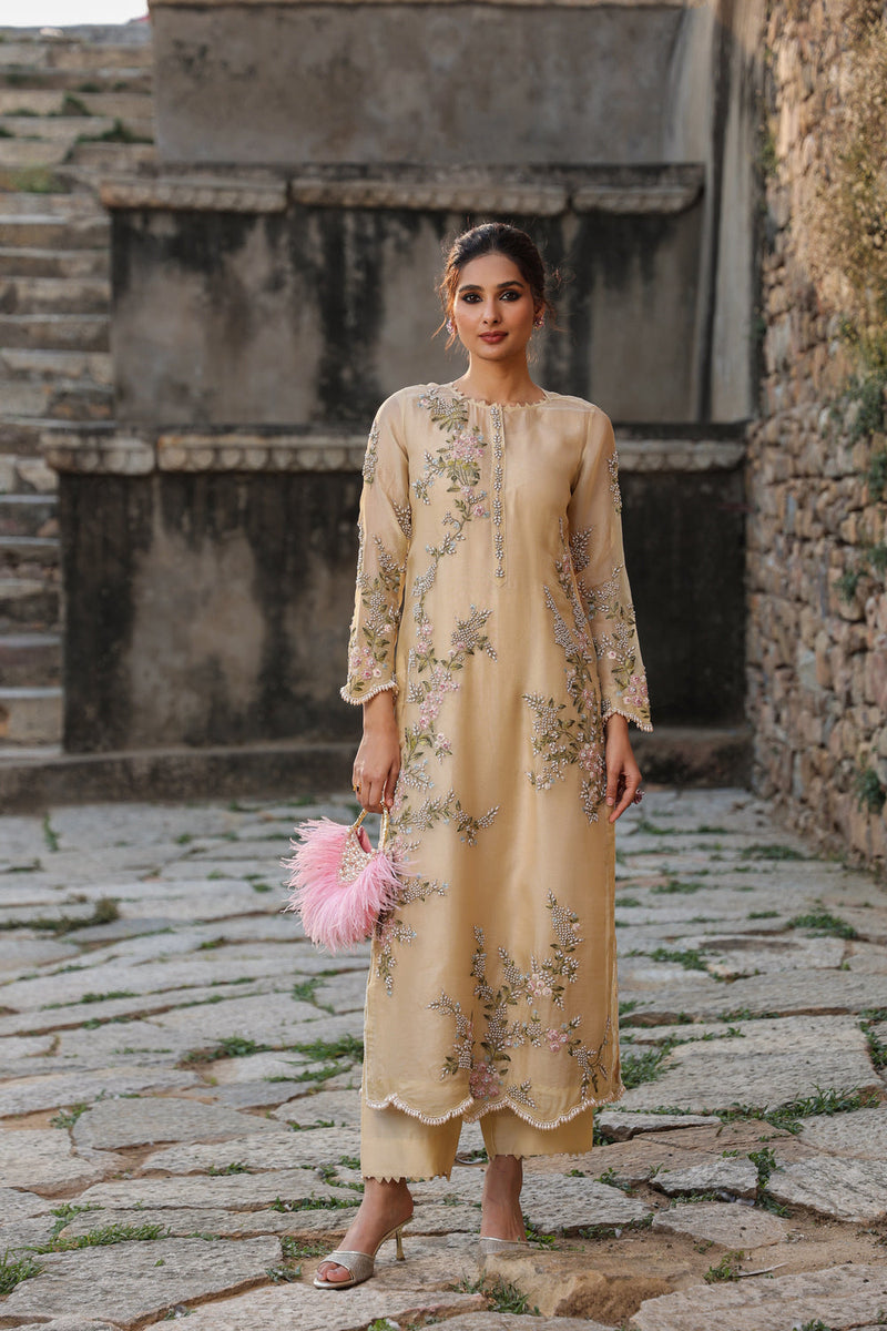 Vaayu Beige Multicolor Jaal Kurta Set organza , silk tencel kurta/kurta set by Niti Bothra in beige for women in Singapore