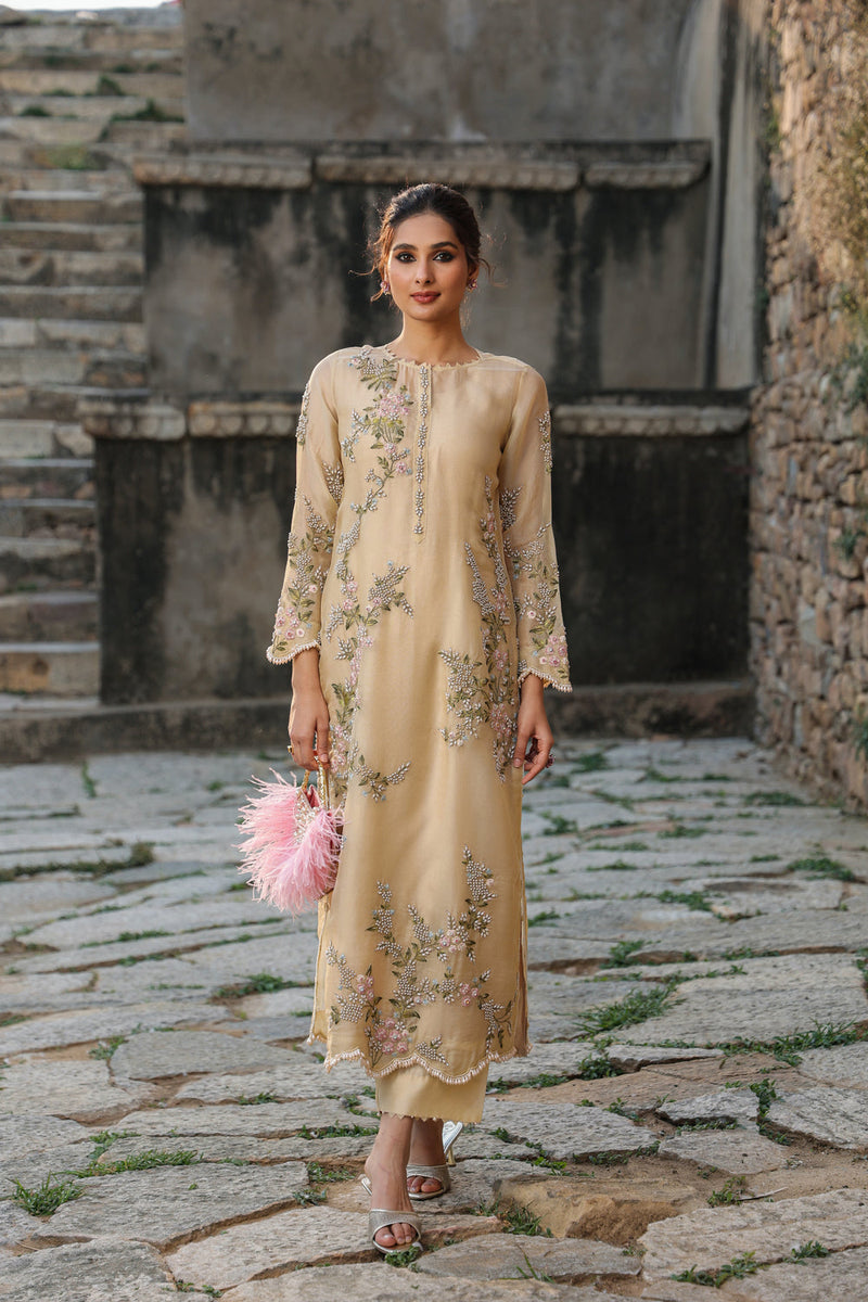 Vaayu Beige Multicolor Jaal Kurta Set organza , silk tencel kurta/kurta set by Niti Bothra in beige for women in Singapore