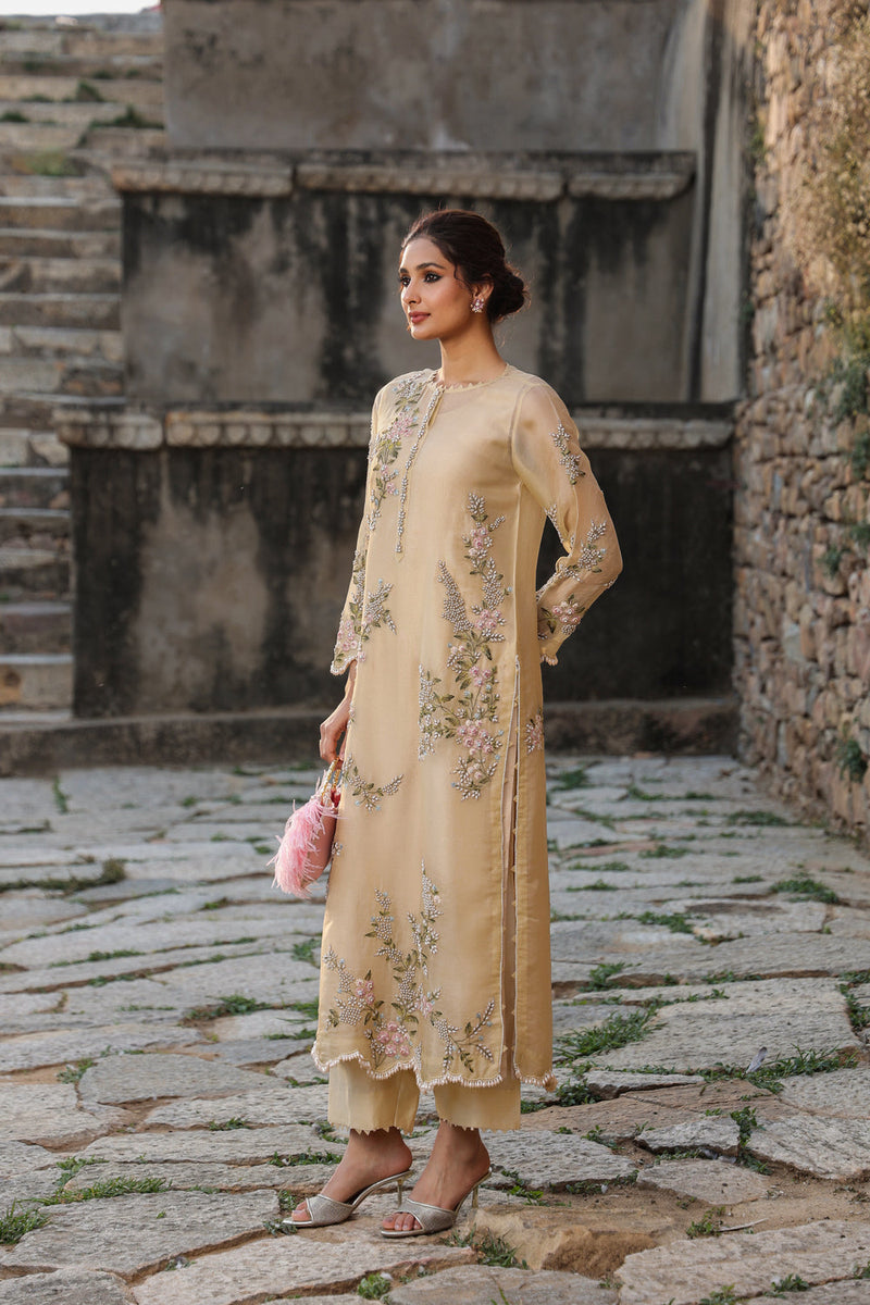 Vaayu Beige Multicolor Jaal Kurta Set organza , silk tencel kurta/kurta set by Niti Bothra in beige for women in Singapore
