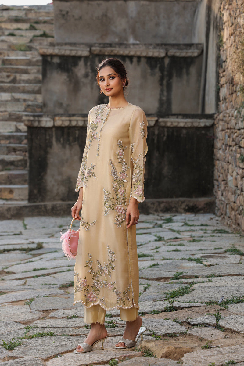 Vaayu Beige Multicolor Jaal Kurta Set organza , silk tencel kurta/kurta set by Niti Bothra in beige for women in Singapore