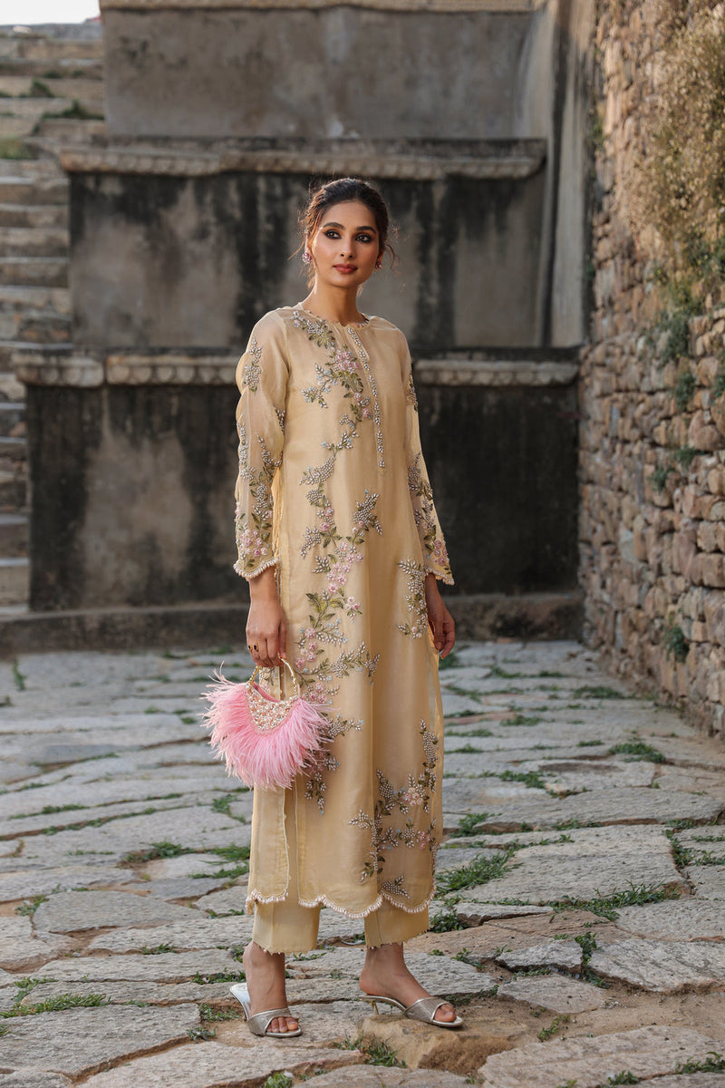 Vaayu Beige Multicolor Jaal Kurta Set organza , silk tencel kurta/kurta set by Niti Bothra in beige for women in Singapore