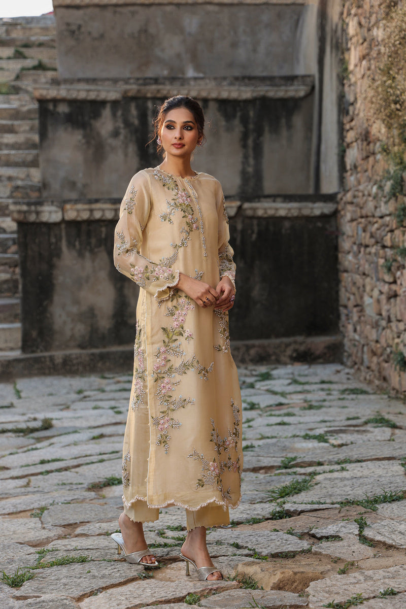 Vaayu Beige Multicolor Jaal Kurta Set organza , silk tencel kurta/kurta set by Niti Bothra in beige for women in Singapore