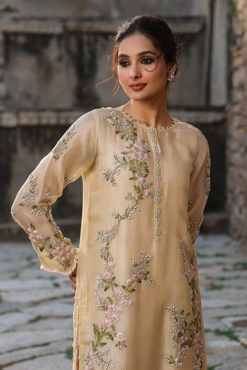 Vaayu Beige Multicolor Jaal Kurta Set organza , silk tencel kurta/kurta set by Niti Bothra in beige for women in Singapore