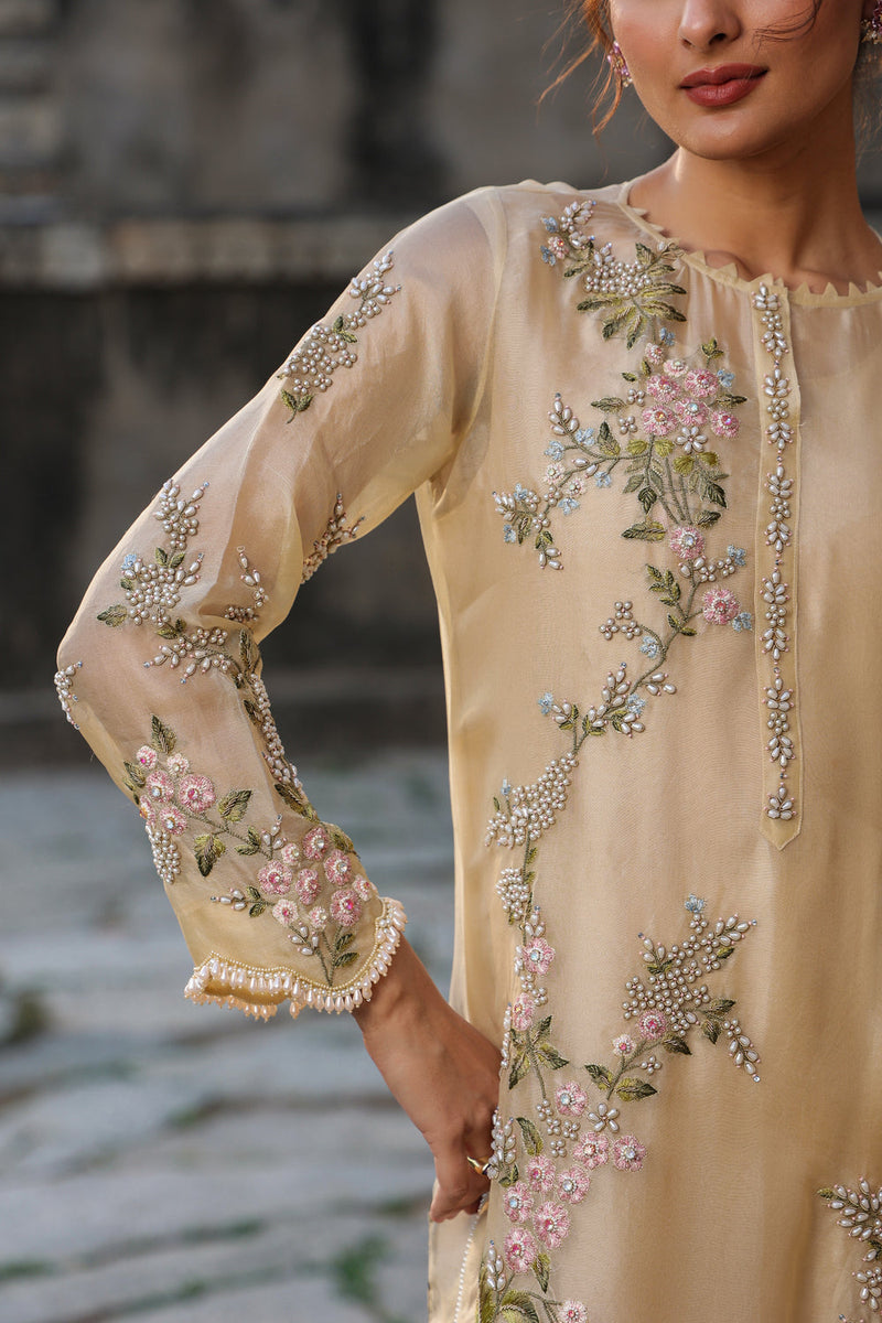 Vaayu Beige Multicolor Jaal Kurta Set organza , silk tencel kurta/kurta set by Niti Bothra in beige for women in Singapore